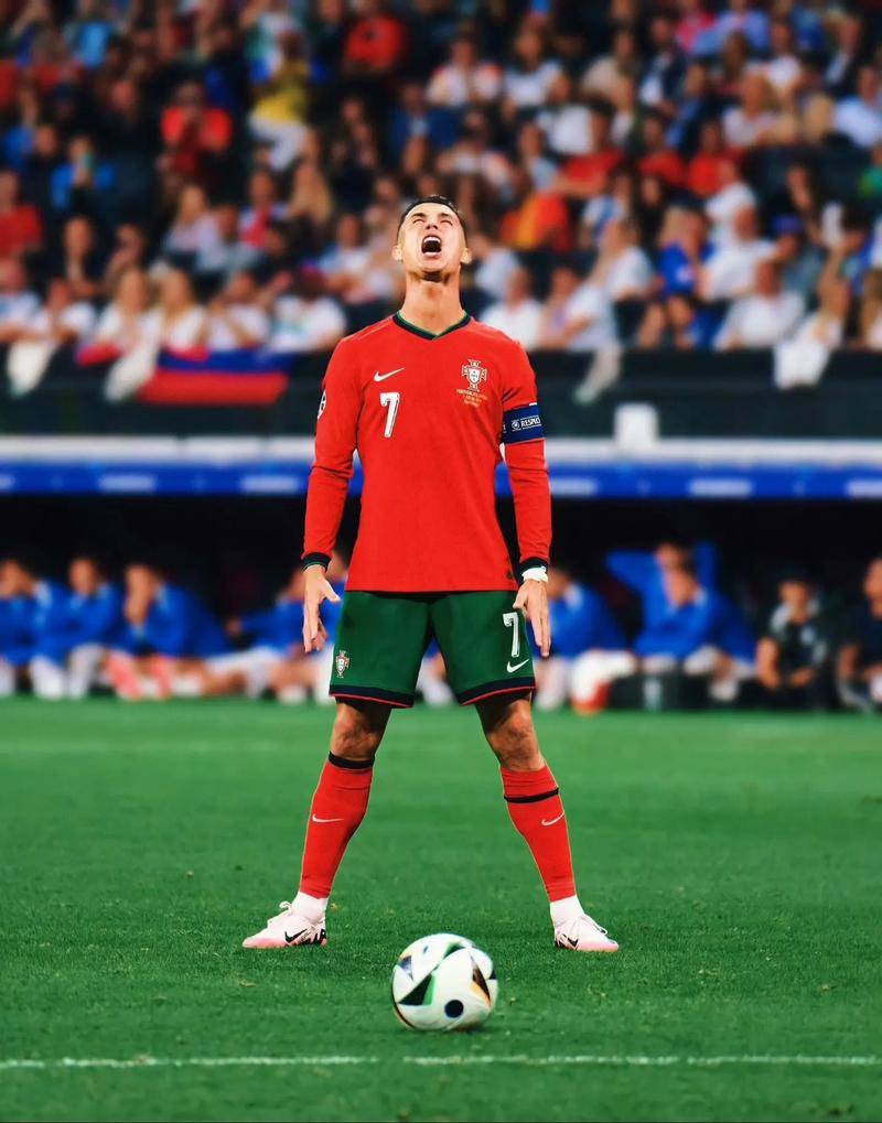 这类案例表 这类案例表