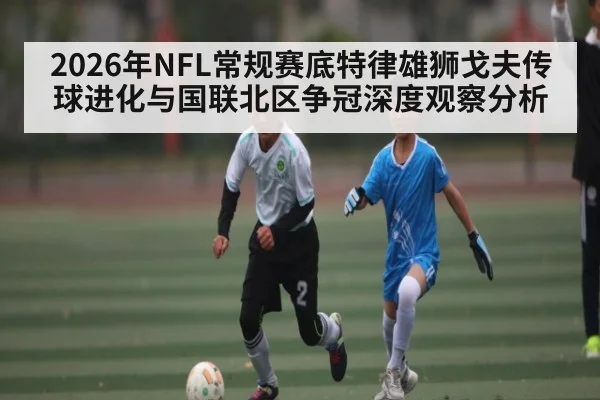 2026年NFL常规赛底特律雄狮戈夫传球进化与国联北区争冠深度观察分析